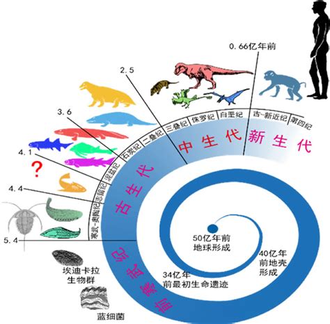 鸟类主要特征的演化----中国科学院古脊椎动物与古人类研究所