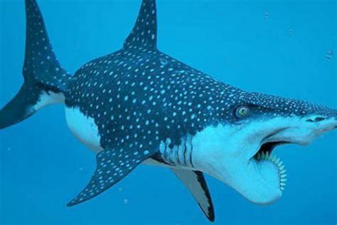 《巨齿鲨2：深渊》发布IMAX海报及预告 两大硬汉激战史前巨兽_凤凰网