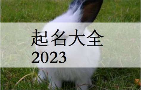 2023年属兔几月出生的宝宝好 取名干货(本月推荐/今日更新)2023已更新 - 宝宝起名