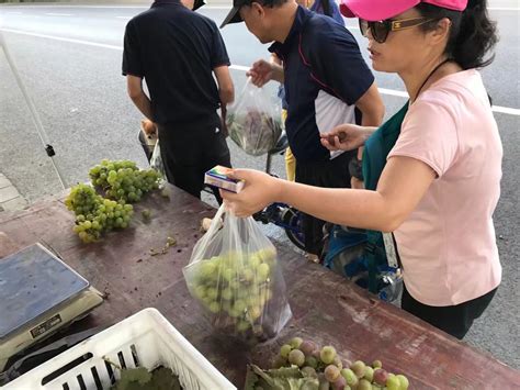 路边卖葡萄广告语音,卖葡萄叫卖声,怎么卖葡萄吸引顾客_大山谷图库
