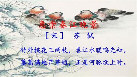 苏轼春江晚景的诗句是什么-百度经验