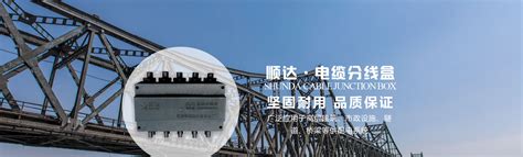 DLF-2系列电缆分线盒-辽阳市顺达电器设备厂