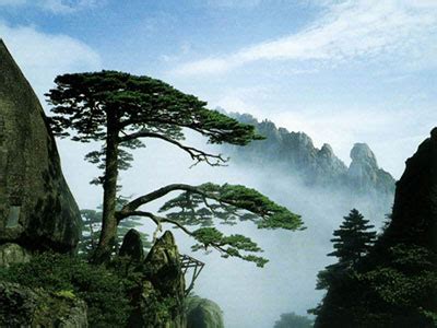 黄山市十大旅游景点排名：第一被称为人间仙境，齐云山上榜_排行榜123网