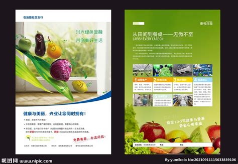 生态庄园有机食材蔬菜绿色DM设计图__DM宣传单_广告设计_设计图库_昵图网nipic.com