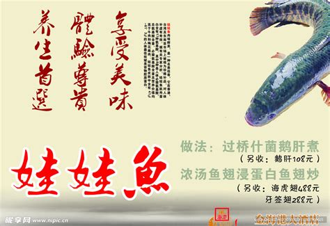 金海港娃娃鱼海报设计图__海报设计_广告设计_设计图库_昵图网nipic.com