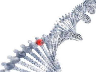 DNA图片-蓝色的DNA分子链素材-高清图片-摄影照片-寻图免费打包下载