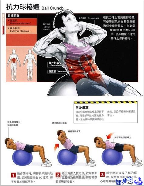 腰腹部练习手册：解读每个动作需要注意哪些细_健身吧
