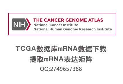 TCGA免疫基因对和生存时间合并-生信自学网