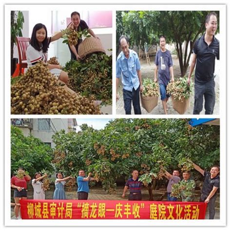 广西柳州柳城：加强绿色生态机关庭院建设_审计署网站