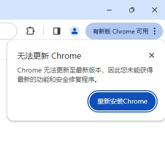 chrome浏览为什么无法更新-chrome浏览器无法更新解决方法-插件之家