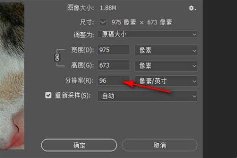 photoshop2018中文破解版直装版|photoshop2018中文破解版直装版下载 免激活序列号 - 哎呀吧软件站