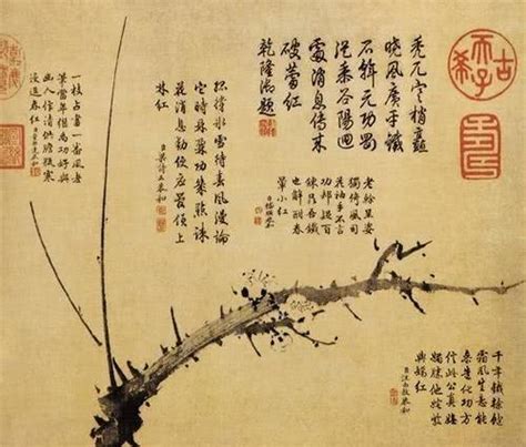 科学网—王冕画的梅与荷 - 史永文的博文