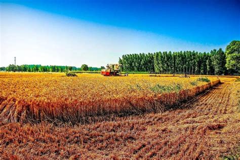 各国推广秸秆综合利用 保障农业可持续发展 - 农牧世界
