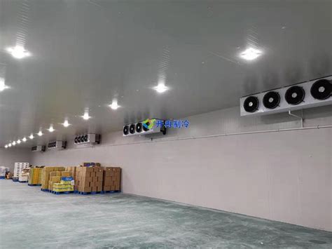 建造一个冷冻库的费用要多少钱_上海雪艺制冷科技发展有限公司