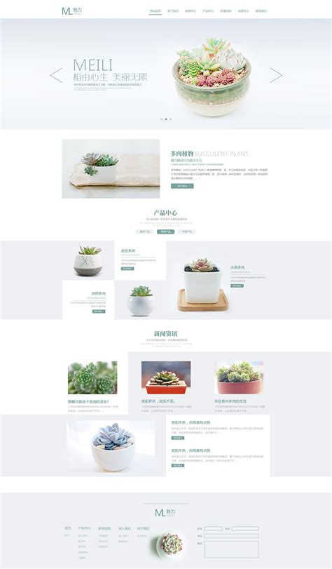 多肉植物网页设计|网页|企业官网|杨豪1994 - 原创作品 - 站酷 (ZCOOL)