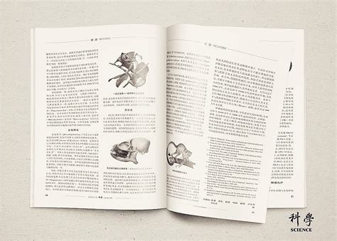学术期刊《科学》杂志版面|平面|书装/画册|尚沪晴好 - 原创作品 - 站酷 (ZCOOL)