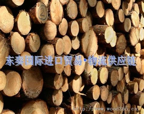 木材进口贸易生意怎么做？ - 知乎