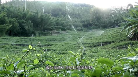 投资6.58亿元 福建尤溪县绿色发展林业示范园一期开工建设-中国木业网