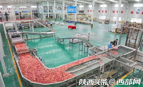 【创新视角】2021年中国水果行业市场现状及发展趋势分析 种植源头的标准化到零售端的智慧化和个性化_行业研究报告 - 前瞻网