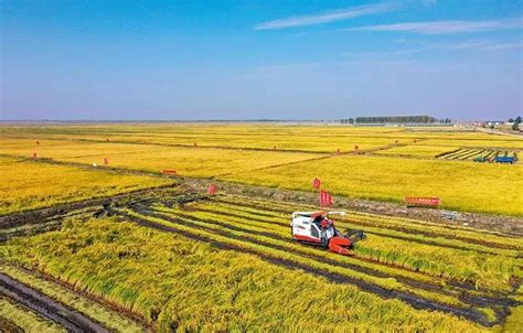 吉林省向着率先实现农业现代化的目标挺进
