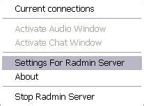 Radmin 3.5.2正式版（附授权码）--系统之家