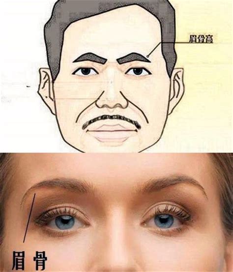 不同脸型如何找到适合的眉形分量大块讲眉型和黄金法则
