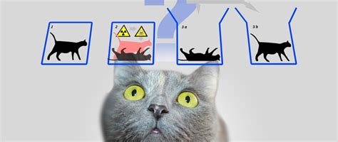 薛定谔的猫的恐怖之处 薛定谔为什么会提出猫的实验_探秘志