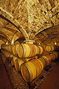 熊黛林白色长袜图片