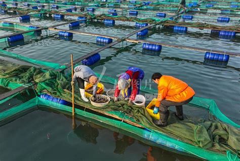 水产市场排名|中国十大水产批发市场有哪些？_交易_全国_经营区