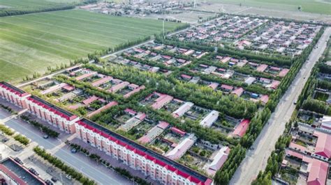 新疆塔城：多元化种植助力乡村振兴-新闻中心-天山网