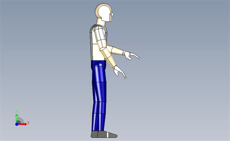 人体模型，人物站姿_SOLIDWORKS 2014_模型图纸下载 – 懒石网