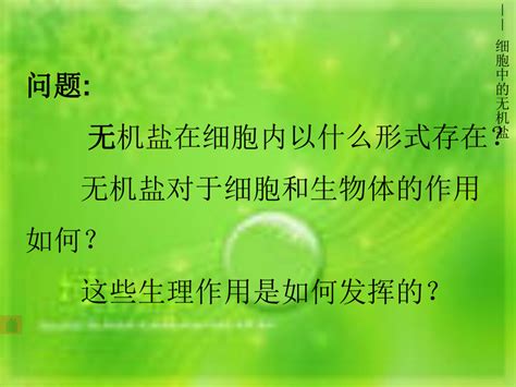 盐胁迫下植物如何维持离子平衡_南京集测生物科技有限公司