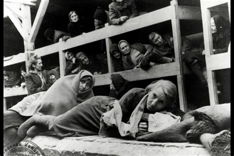 老照片 二战中的德国奥斯威辛集中营 犹太人的恐怖岁月|犹太人|苏联红军|集中营_新浪新闻