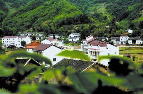 “一户多宅”今年会陆续排查，宅基地多大面积不超标_行业动态_行业资讯_西部苗木网,西北苗木网,西部苗木销售,西部苗木交易