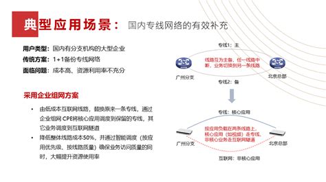 企业组网 - 智能云网 - 北京蜘蛛云网科技有限公司
