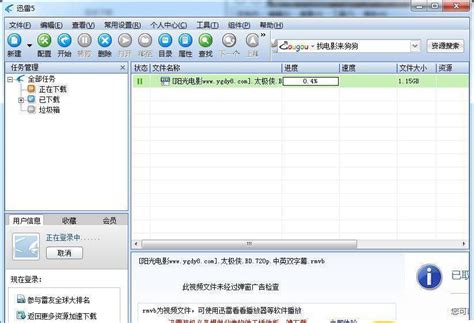 迅雷5.8稳定版下载_迅雷5.8绿色稳定版官方下载-华军软件园