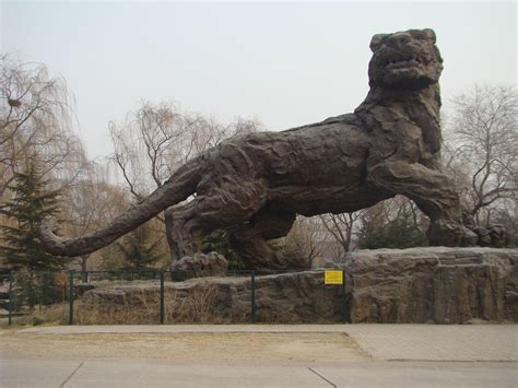 北京动物园狮虎山_360百科