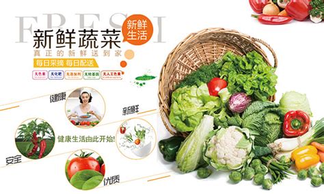 蔬菜广告图片,蔬菜图片,蔬菜广告_大山谷图库