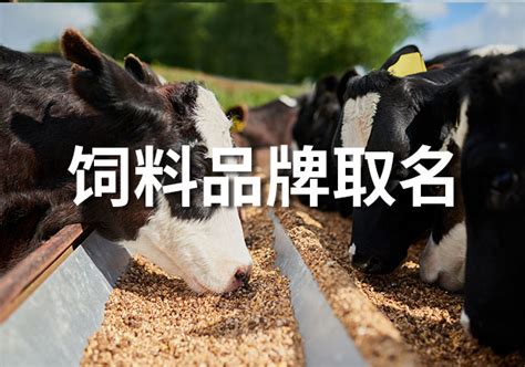 预见2021：《2021年中国饲料产业全景图谱》(附市场供需、竞争格局、发展前景等)_行业研究报告 - 前瞻网