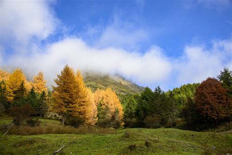 2019神木垒_旅游攻略_门票_地址_游记点评,宝兴旅游景点推荐 - 去哪儿攻略社区