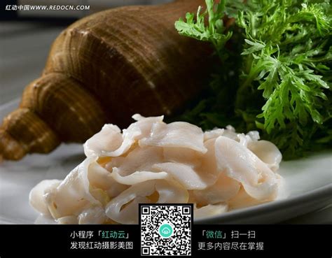 响螺图片