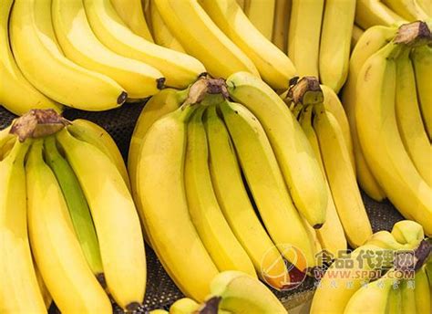 吃香蕉可以喝热水吗，减肥可以吃香蕉吗-秒火食品代理网