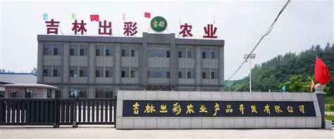 吉林省广告产业园喜获“全国版权示范园区（基地）”称号-中国吉林网