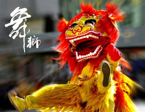 狮王,舞狮服装,狮子舞蹈,中国功夫,演出服,表演艺术活动,传统服装,灵性,平衡,狮子摄影素材,汇图网www.huitu.com