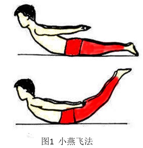 小科普【腰背肌锻炼法】 - 微医（挂号网）