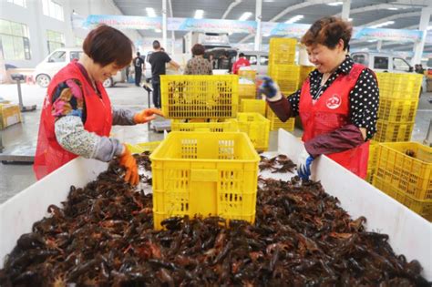 潜江龙虾开捕上市，第一笼虾拍得28万元，一只虾能玩出108种花样