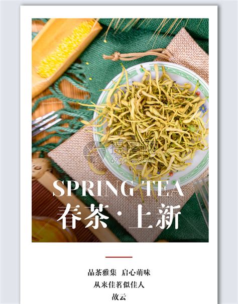 大气春茶茶道新中式茶叶创意海报模板素材-正版图片402158385-摄图网