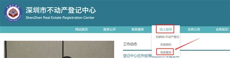 新年复工首日 不动产登记中心为困难群众送服务上门_重庆市人民政府网