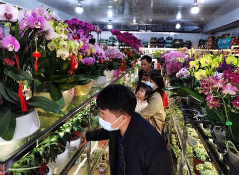 不分昼夜，这超市只卖鲜花！斗南国际花卉鲜花超市开门迎客