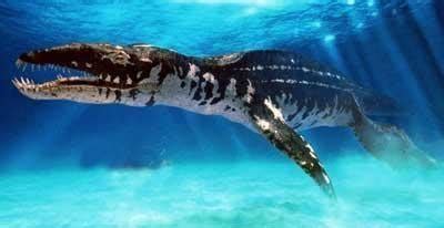 史前十大最强悍的海洋生物，邓氏鱼上榜，第五被认为是现代鲸的祖先(3)_排行榜123网